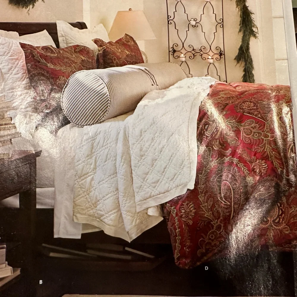 Pottery Barn Caroline Paisley Duvet Cover and Shams